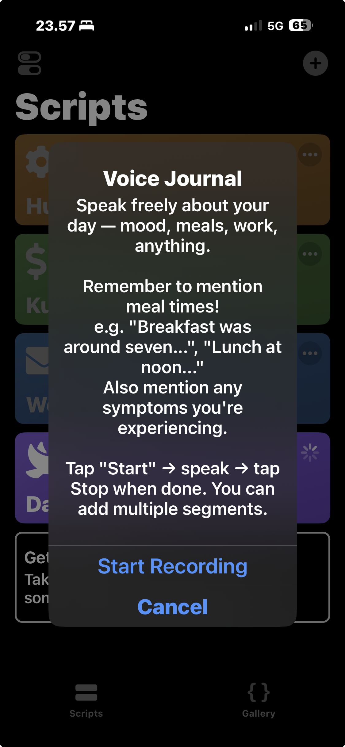 Voice Journal recording prompt on iOS